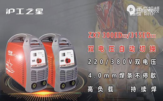 东升国际PG官网之星ZX7 300/315EDIII电焊机
